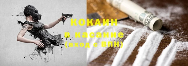 шишки Алексин