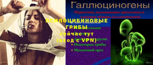 дживик Алзамай