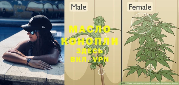 кристаллы Осинники