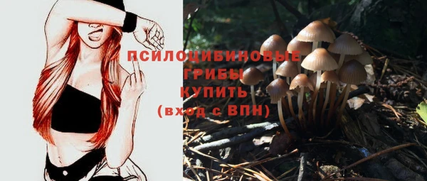 шишки Алексин