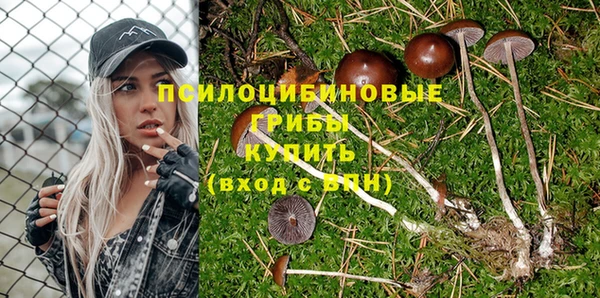 ECSTASY Алексеевка