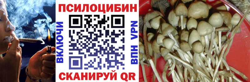 Галлюциногенные грибы Psilocybe Муравленко
